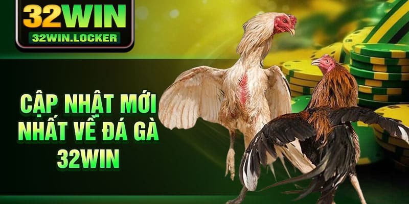 Đá Gà 32win 1 Cập nhật mới nhất về Đá Gà 32win